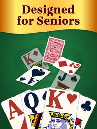 Solitaire for Seniors Game screenshot, image №4053597 - RAWG