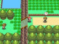 Pokémon Diamond, Pearl screenshot, image №1865358 - RAWG