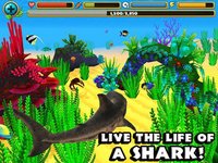 Wildlife Simulator: Shark screenshot, image №1968076 - RAWG
