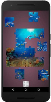 Real Dolphins Game: Jigsaw Puzzle 2019 screenshot, image №1965963 - RAWG