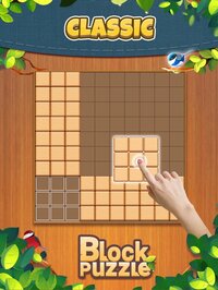 Block Puzzle: Board Games screenshot, image №2528188 - RAWG