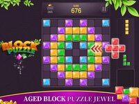 Block Puzzle - Fun Games screenshot, image №3904237 - RAWG