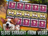 Cats Slot Machines screenshot, image №1343152 - RAWG