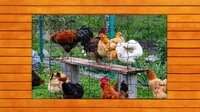 Farmyard Pals Jigsaw Puzzles screenshot, image №4152678 - RAWG