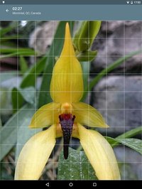 Jigsaw Puzzle: Flowers screenshot, image №1497474 - RAWG