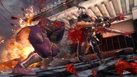Ninja Gaiden II screenshot, image №514288 - RAWG