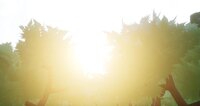 Arcane's Watch screenshot, image №3274760 - RAWG