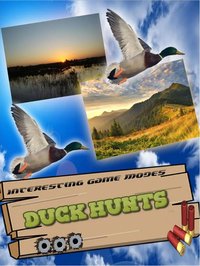 Duck Hunting Pro Challenge-Bird Shooting Game 3D screenshot, image №1615268 - RAWG
