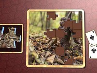 Jigsaw Solitaire Great Outdoors screenshot, image №1986669 - RAWG
