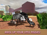 Life of House Pig Simulator screenshot, image №1734508 - RAWG