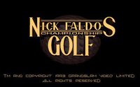 Nick Faldo's Championship Golf (1992) screenshot, image №746560 - RAWG