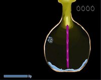 Flask Miracle screenshot, image №2442956 - RAWG