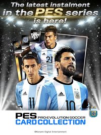 PES CARD COLLECTION screenshot, image №699206 - RAWG