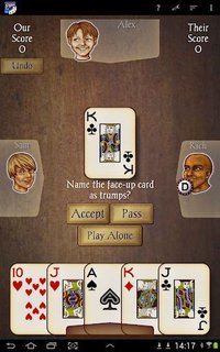 Euchre screenshot, image №1441196 - RAWG