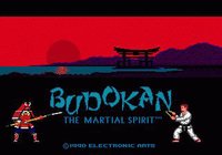 Budokan: The Martial Spirit (1991) screenshot, image №747729 - RAWG