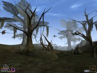 The Elder Scrolls III: Morrowind screenshot, image №290019 - RAWG