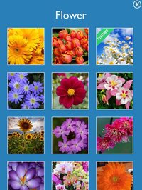 Puzzle All screenshot, image №893971 - RAWG
