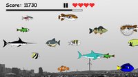 Hungry Fish Evolution screenshot, image №1673309 - RAWG