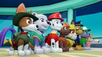 Paw Patrol: On A Roll! screenshot, image №2172939 - RAWG