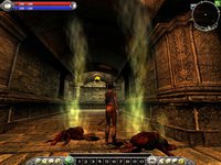 Asheron's Call 2: Fallen Kings screenshot, image №367801 - RAWG