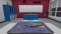 VR Squid and Seastar Dissection: Invertebrate Investigations screenshot, image №2383783 - RAWG