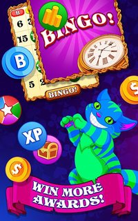 Bingo Wonderland screenshot, image №1416526 - RAWG