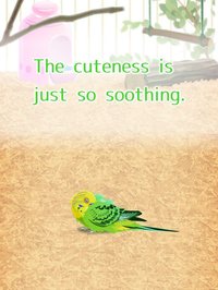 Virtual Therapeutic Parakeet Pet screenshot, image №1662209 - RAWG