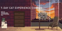 7-Day Cat Experience Coupon screenshot, image №3828378 - RAWG