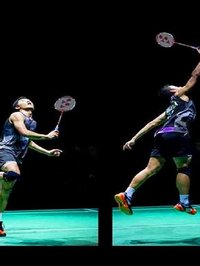 3D Smash Badminton Pro Challenge - 2016 screenshot, image №1647129 - RAWG
