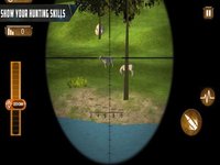 Expert Animal Sniper screenshot, image №1611287 - RAWG