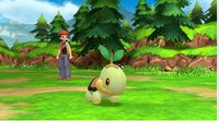 Pokémon Brilliant Diamond, Shining Pearl screenshot, image №2734367 - RAWG