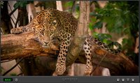 Animals Of Africa screenshot, image №3413557 - RAWG