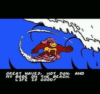 Town & Country Surf Designs II: Thrilla's Surfari screenshot, image №2716487 - RAWG