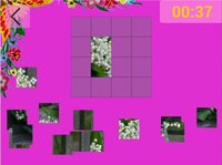 Ultimate Puzzles Flowers screenshot, image №2916997 - RAWG