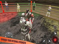 World Robot Fighting: Boxing C screenshot, image №1882938 - RAWG