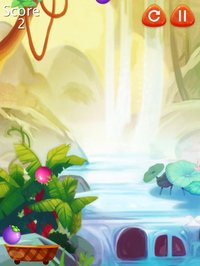 Candy Fruits - Fruit Drop! screenshot, image №2030570 - RAWG