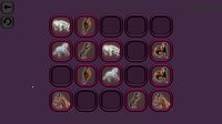 Animals Memory: Horses screenshot, image №1667121 - RAWG