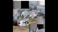 hgmGame-cat screenshot, image №4178169 - RAWG