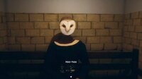 Owl Lights screenshot, image №4264959 - RAWG