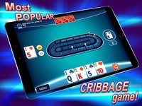 Ultimate Cribbage: The Classic screenshot, image №2035238 - RAWG