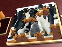 Jigsaw Solitaire Baby Animals screenshot, image №1330763 - RAWG
