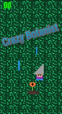 Crazy Botanist (BTP Game Jam 3) screenshot, image №2697896 - RAWG