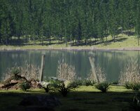 Verdant Path screenshot, image №3351630 - RAWG