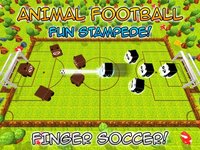 Animal Soccer: Star Match screenshot, image №2136916 - RAWG