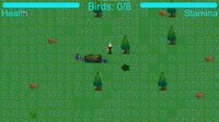 Bird Catcher screenshot, image №3227463 - RAWG