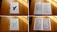 Hummingbird screenshot, image №1016214 - RAWG