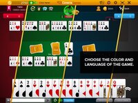 Canasta Hand And Foot screenshot, image №2681470 - RAWG