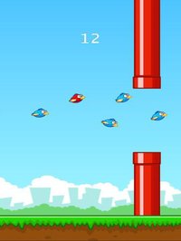 Funny Smash Clumsy Bird Rush screenshot, image №971686 - RAWG