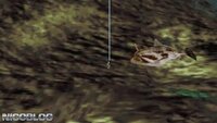 Reel Fishing II screenshot, image №3881317 - RAWG