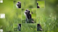 Puzzle Art: Primates screenshot, image №3076696 - RAWG